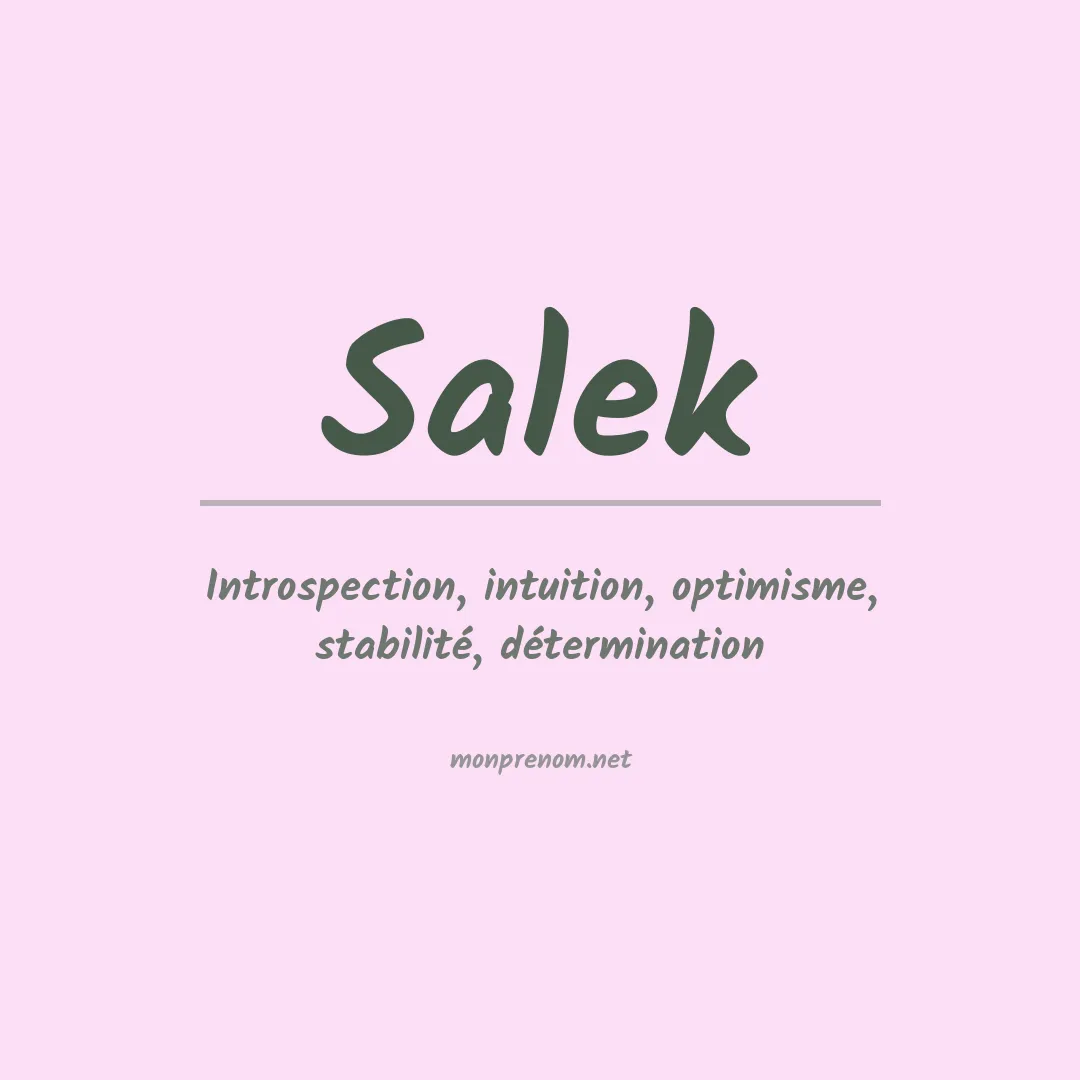 Prénom Salek