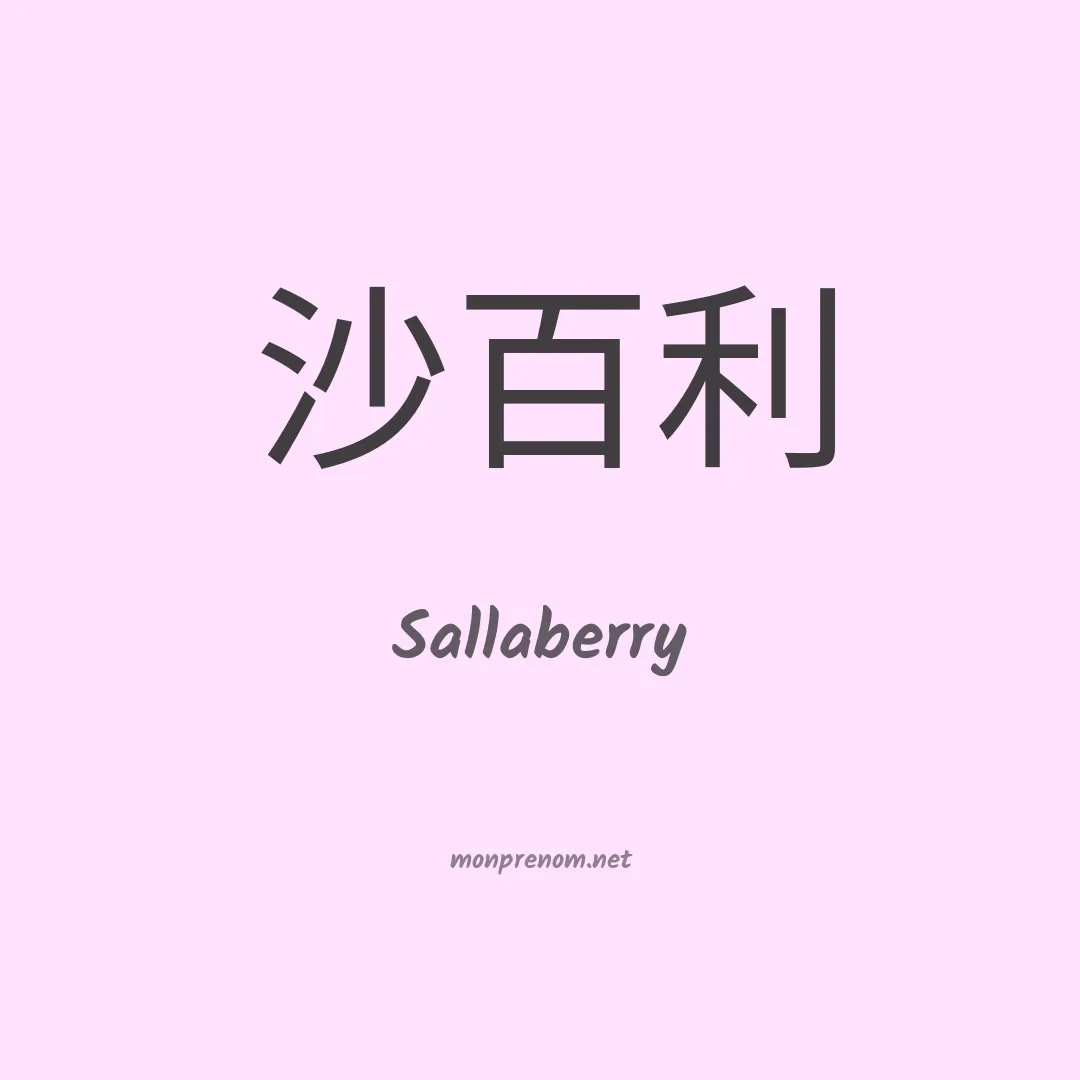 Sallaberry en chinois