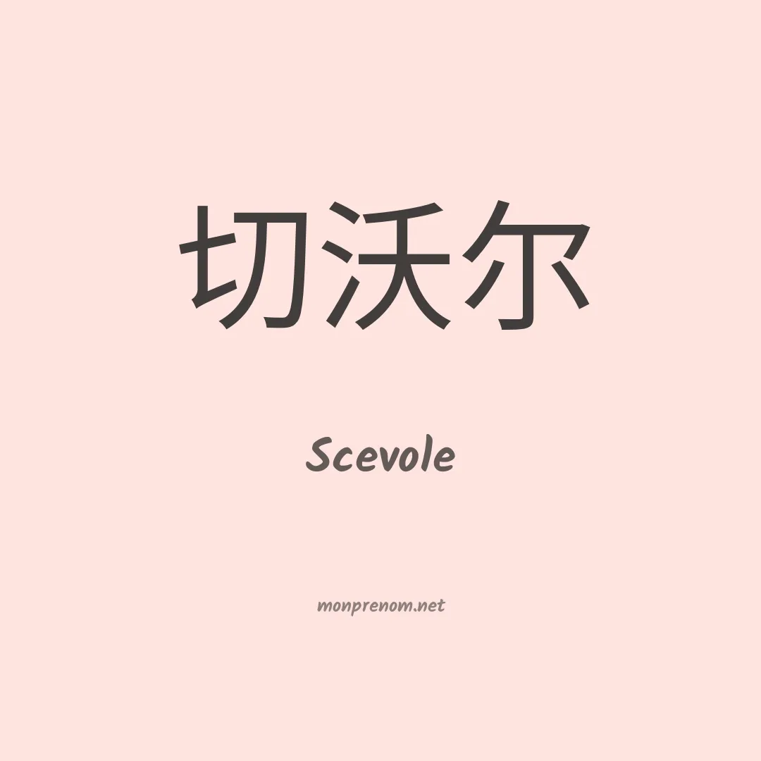 Scevole en chinois