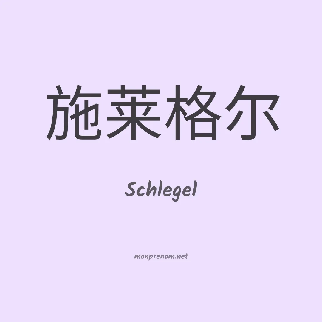 Schlegel en chinois