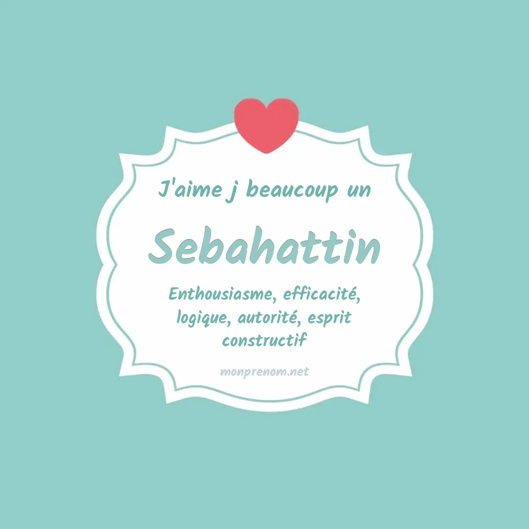 J'aime beaucoup Sebahattin