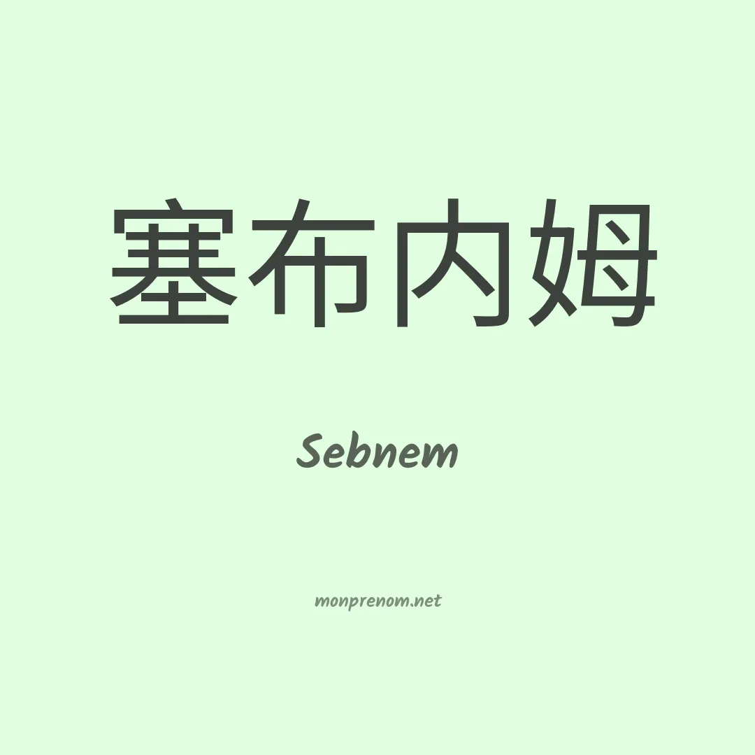 Sebnem en chinois