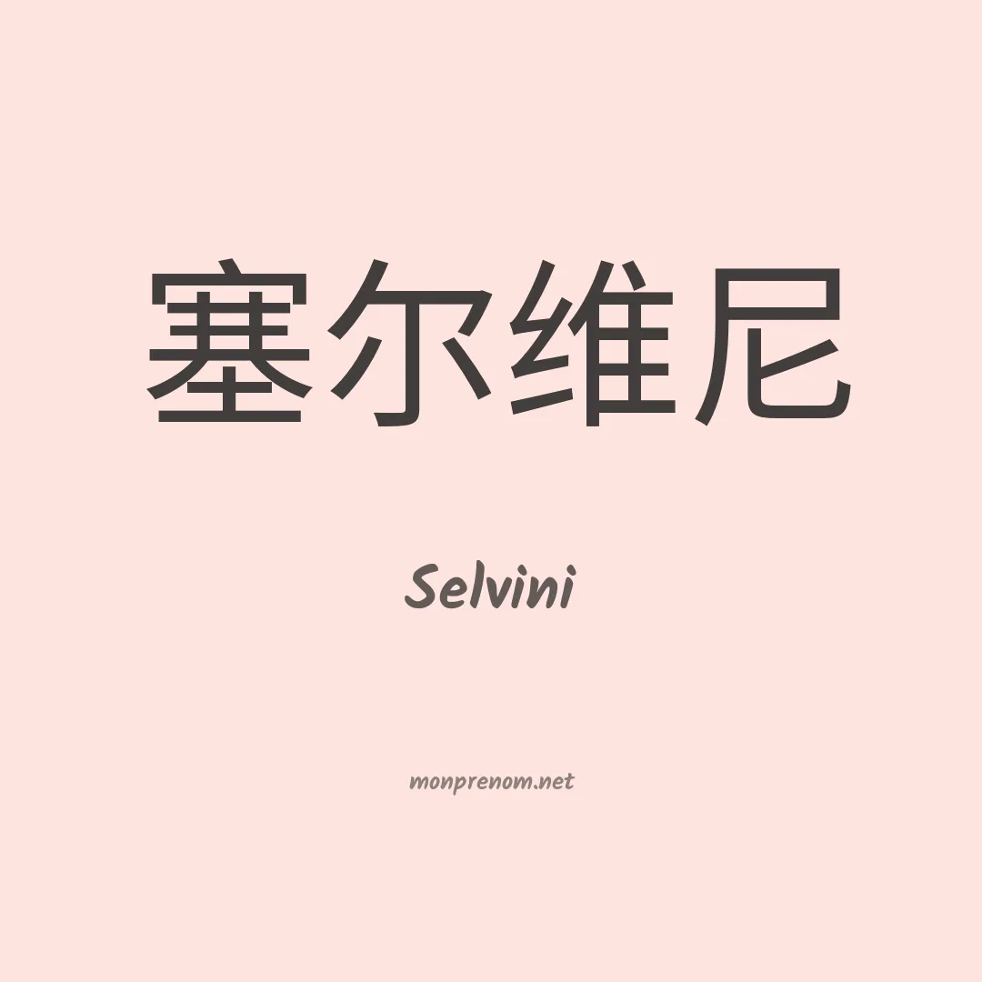 Selvini en chinois