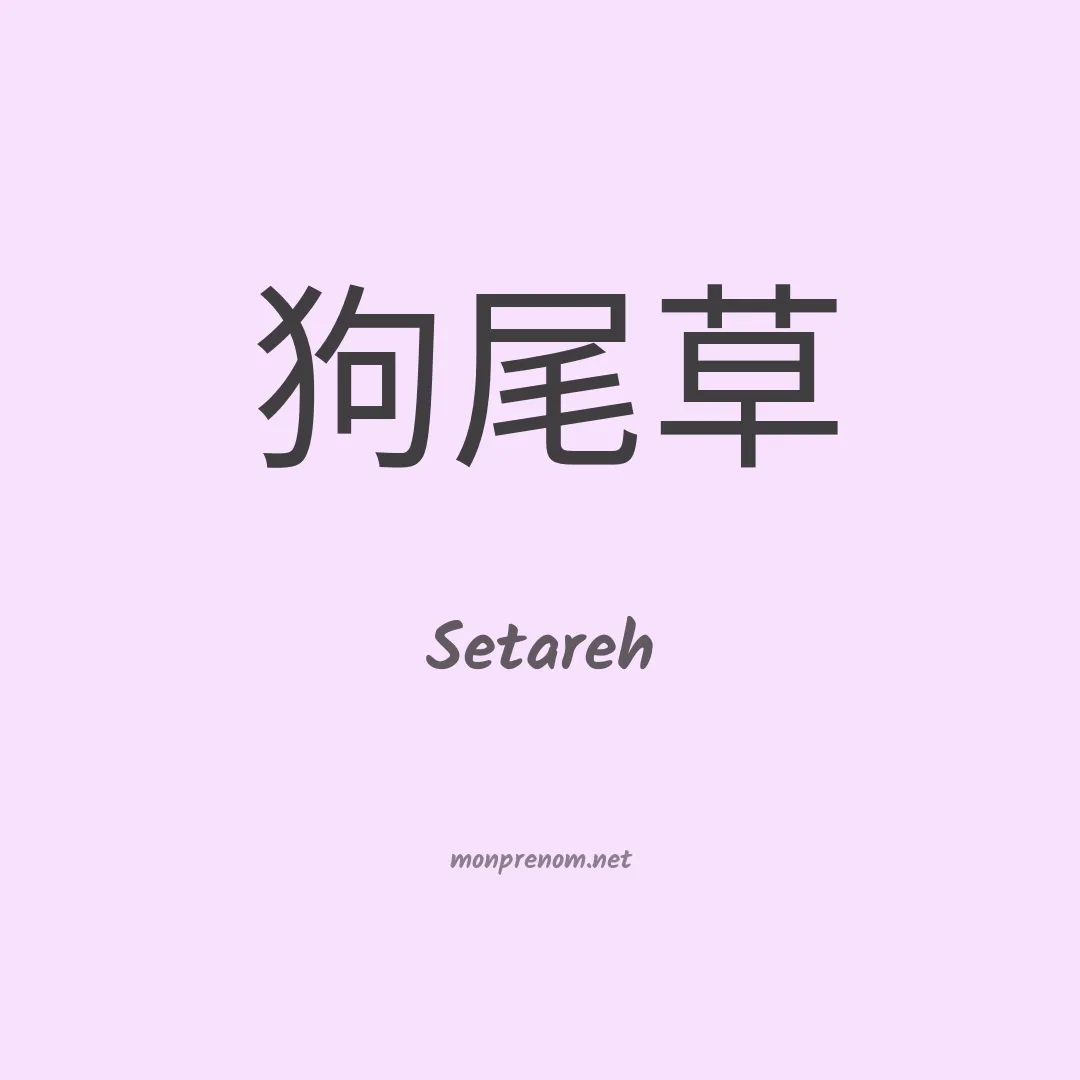 Setareh en chinois