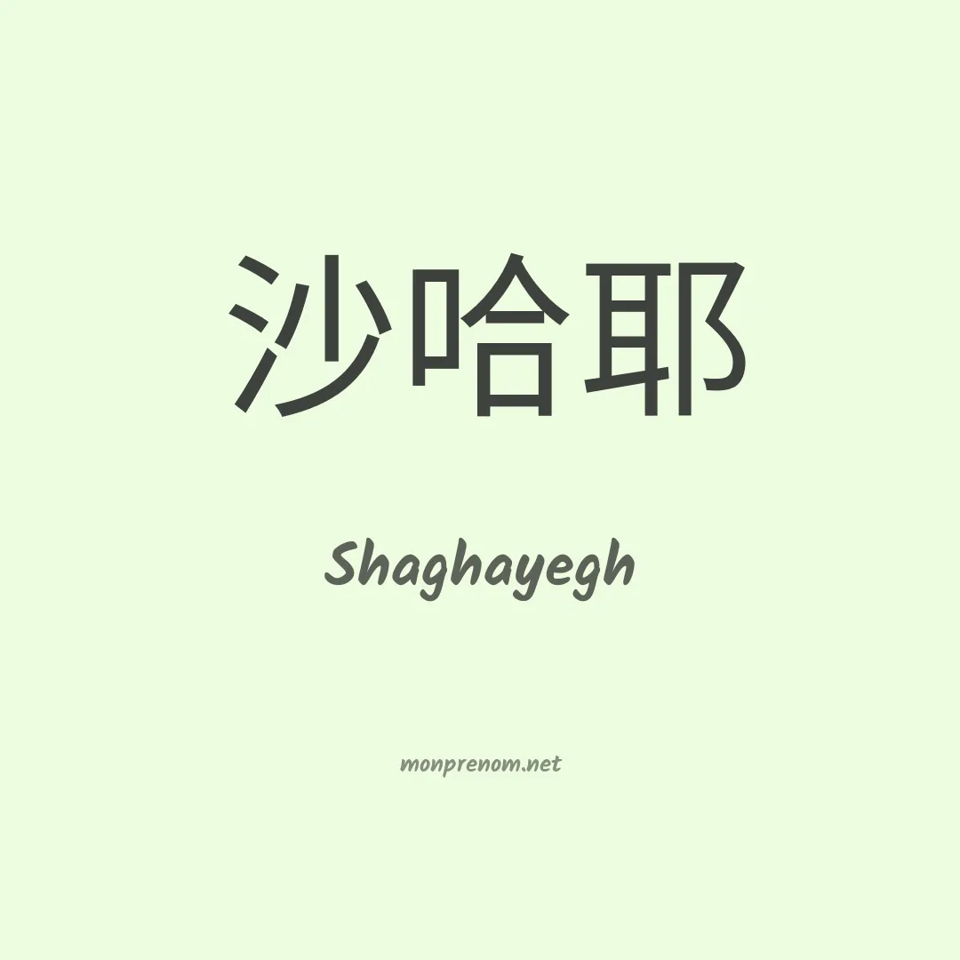 Shaghayegh en chinois