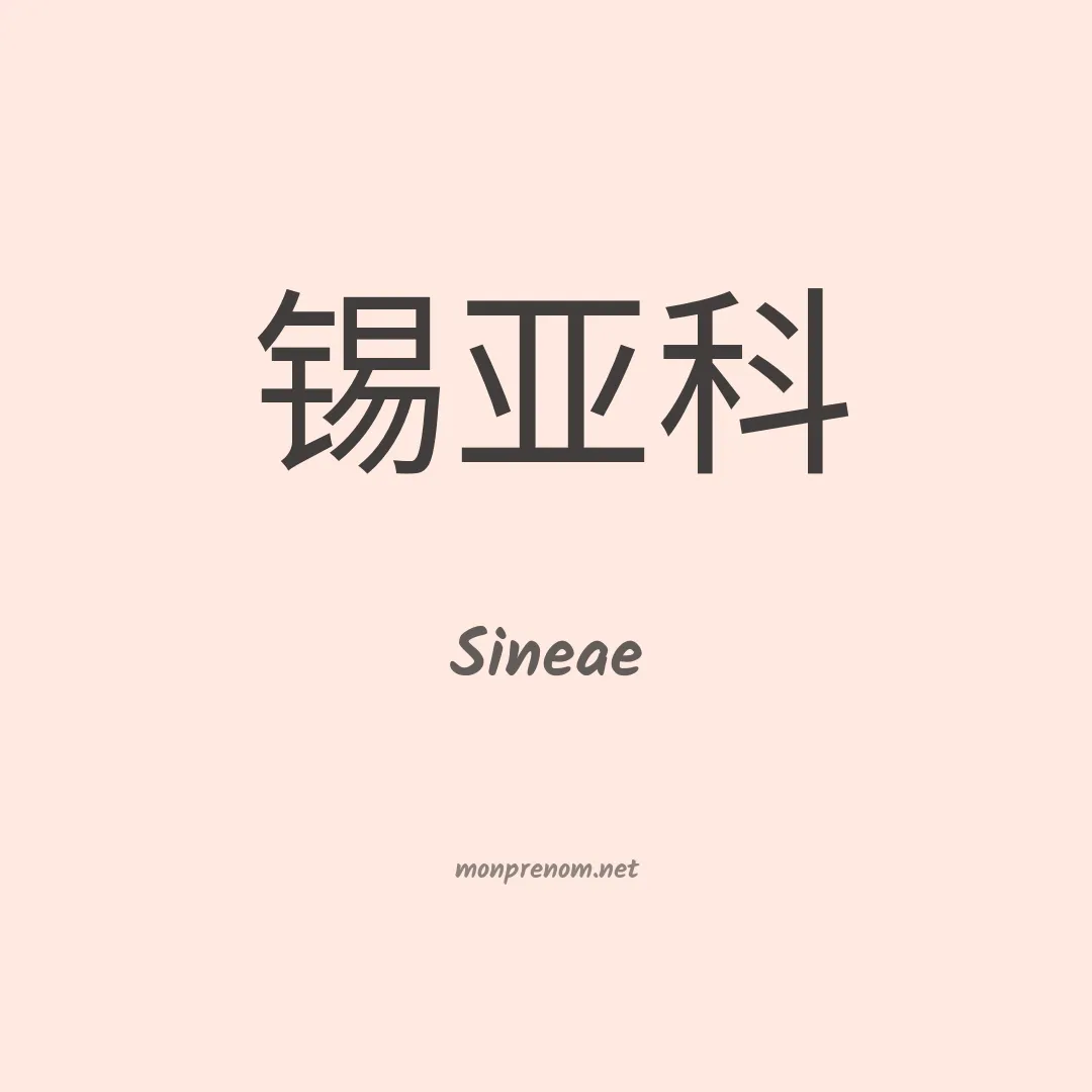 Sineae en chinois