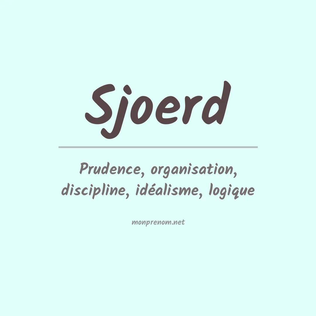 Signification du prénom Sjoerd