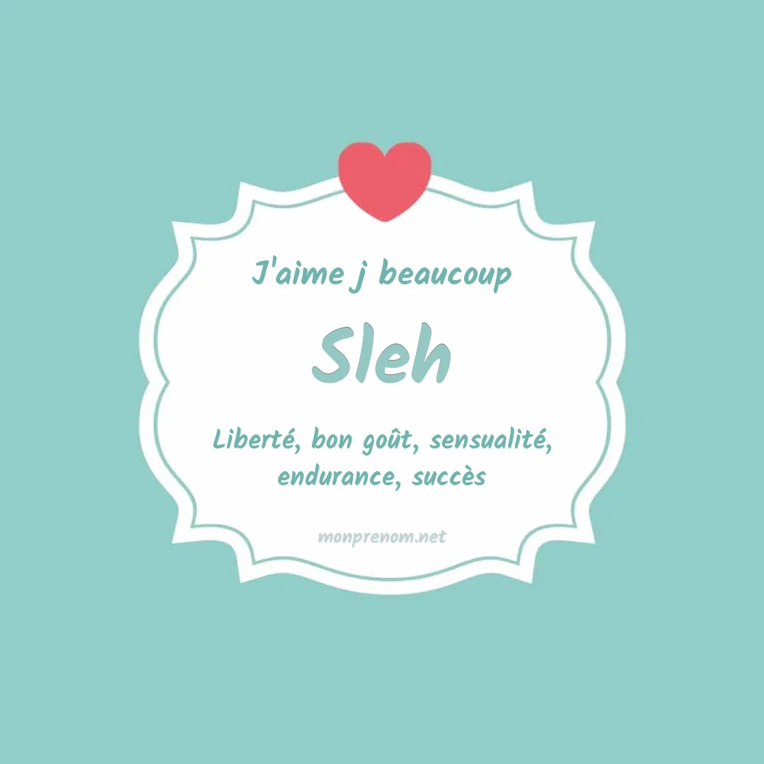 J'aime beaucoup Sleh