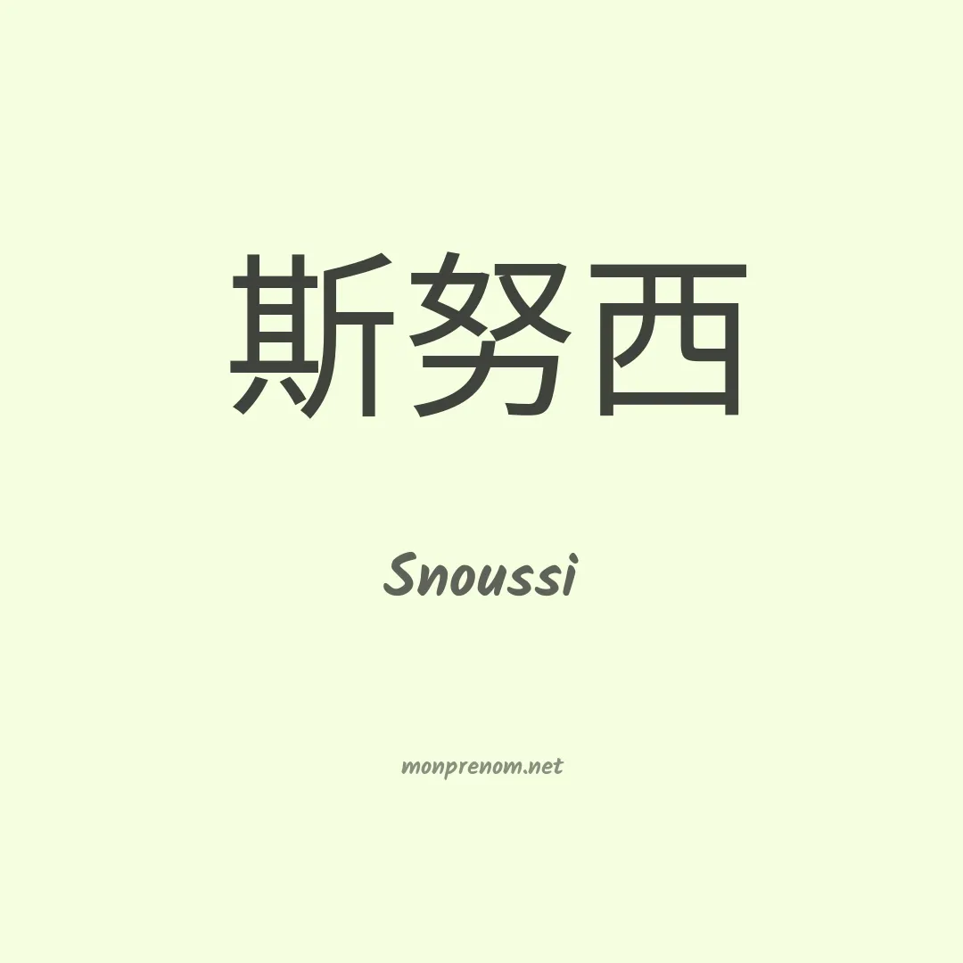 Snoussi en chinois