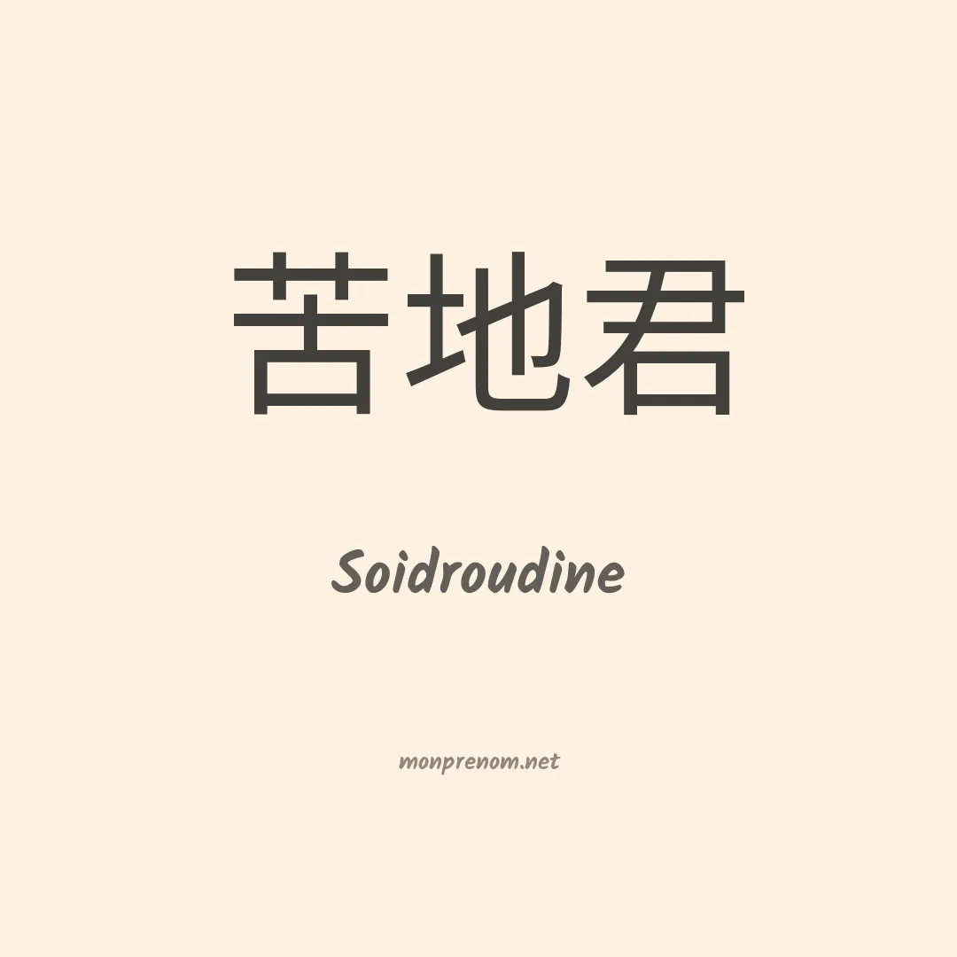 Soidroudine en chinois