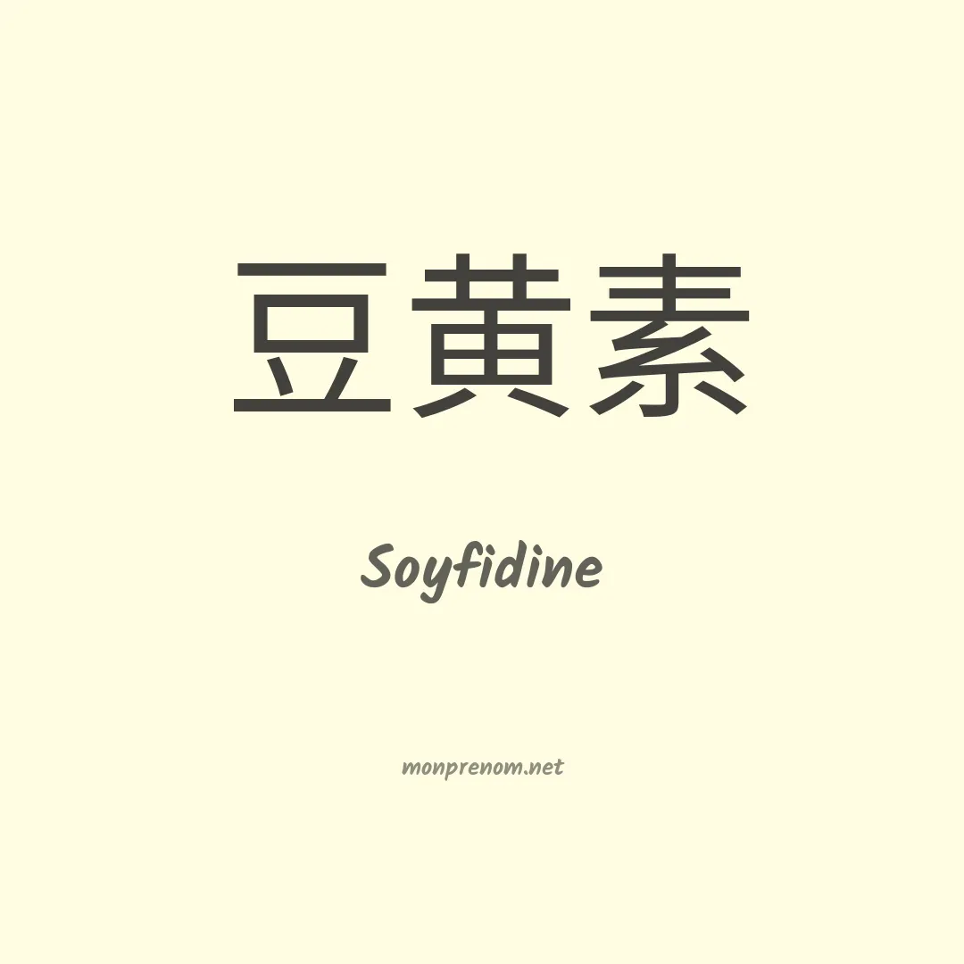 Soyfidine en chinois
