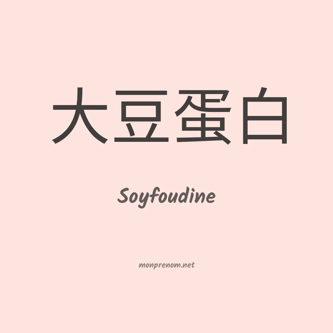 Soyfoudine en chinois