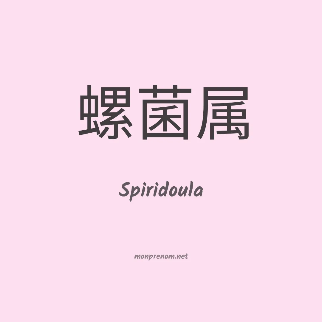 Spiridoula en chinois