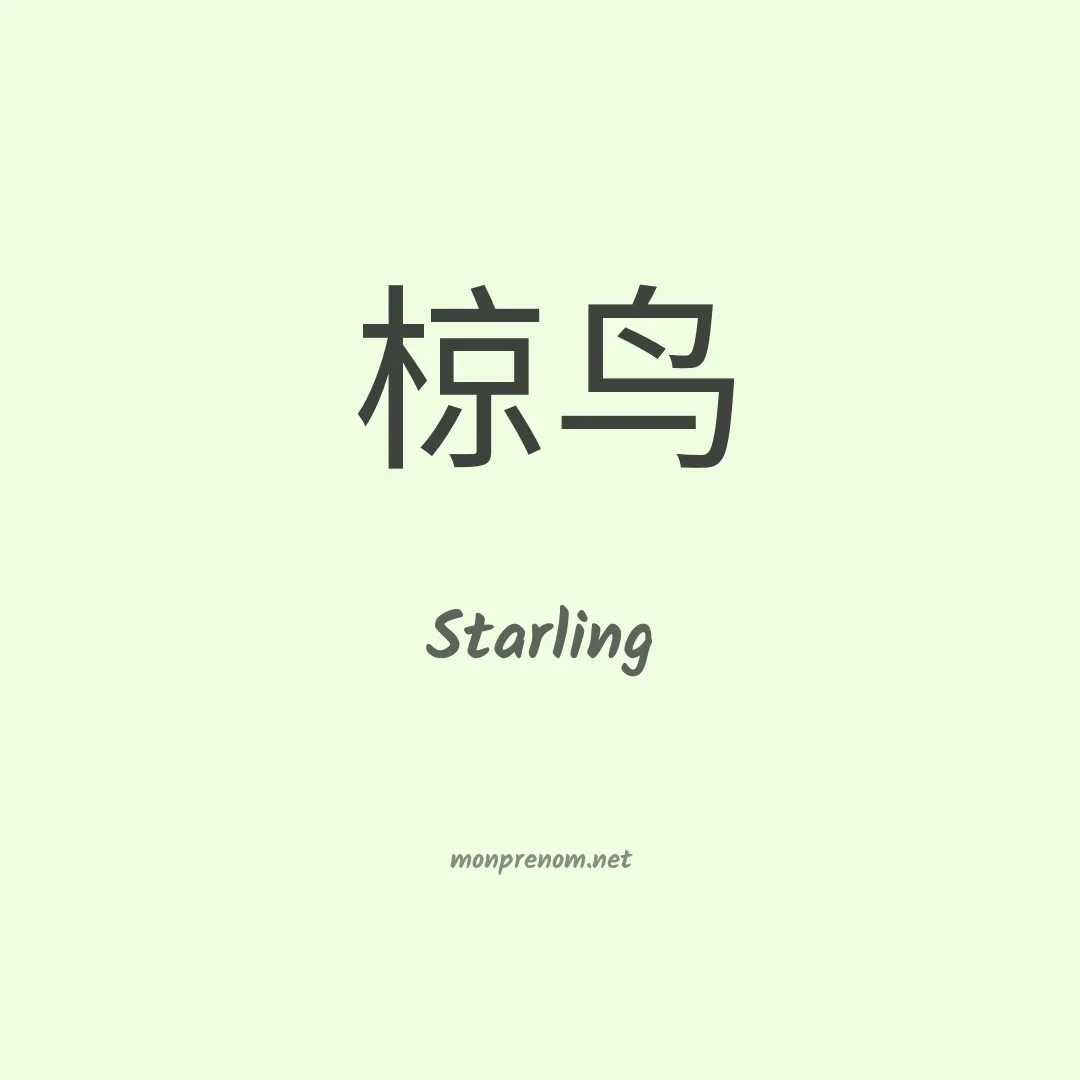 Starling en chinois