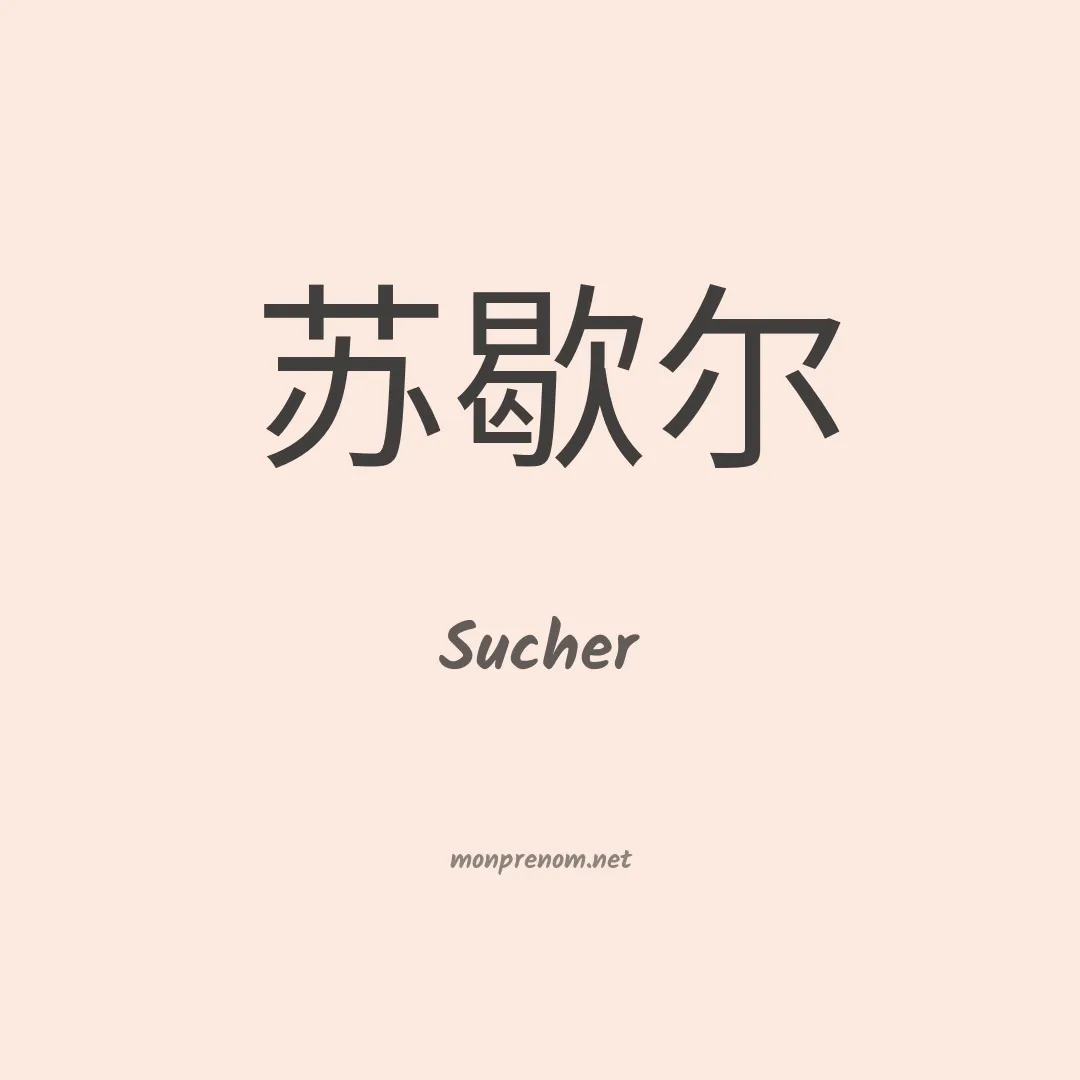 Sucher en chinois