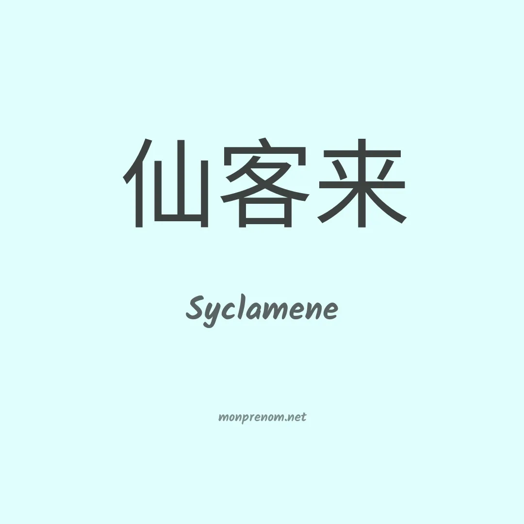 Syclamene en chinois
