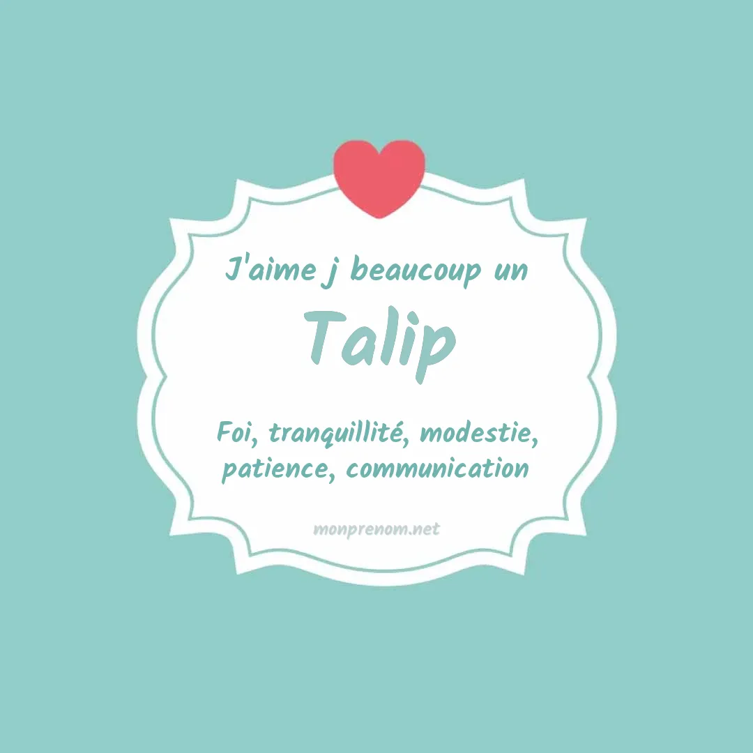 J'aime beaucoup Talip