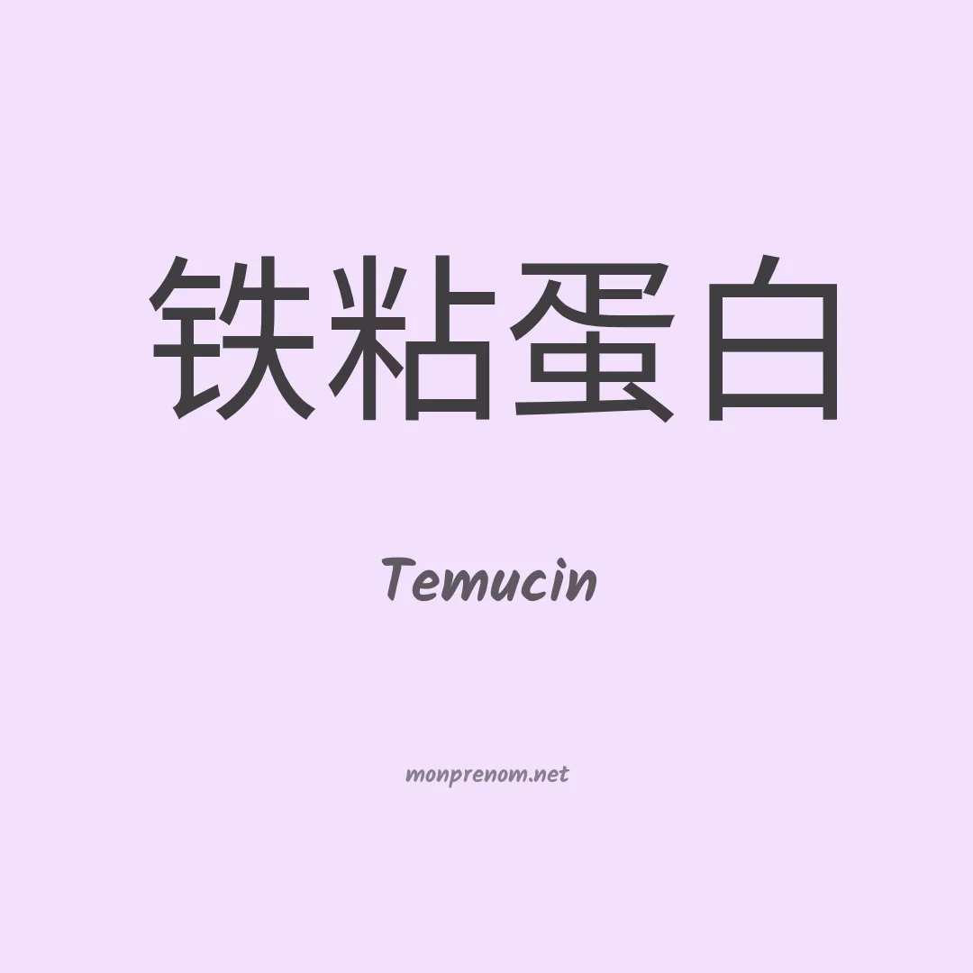 Temucin en chinois