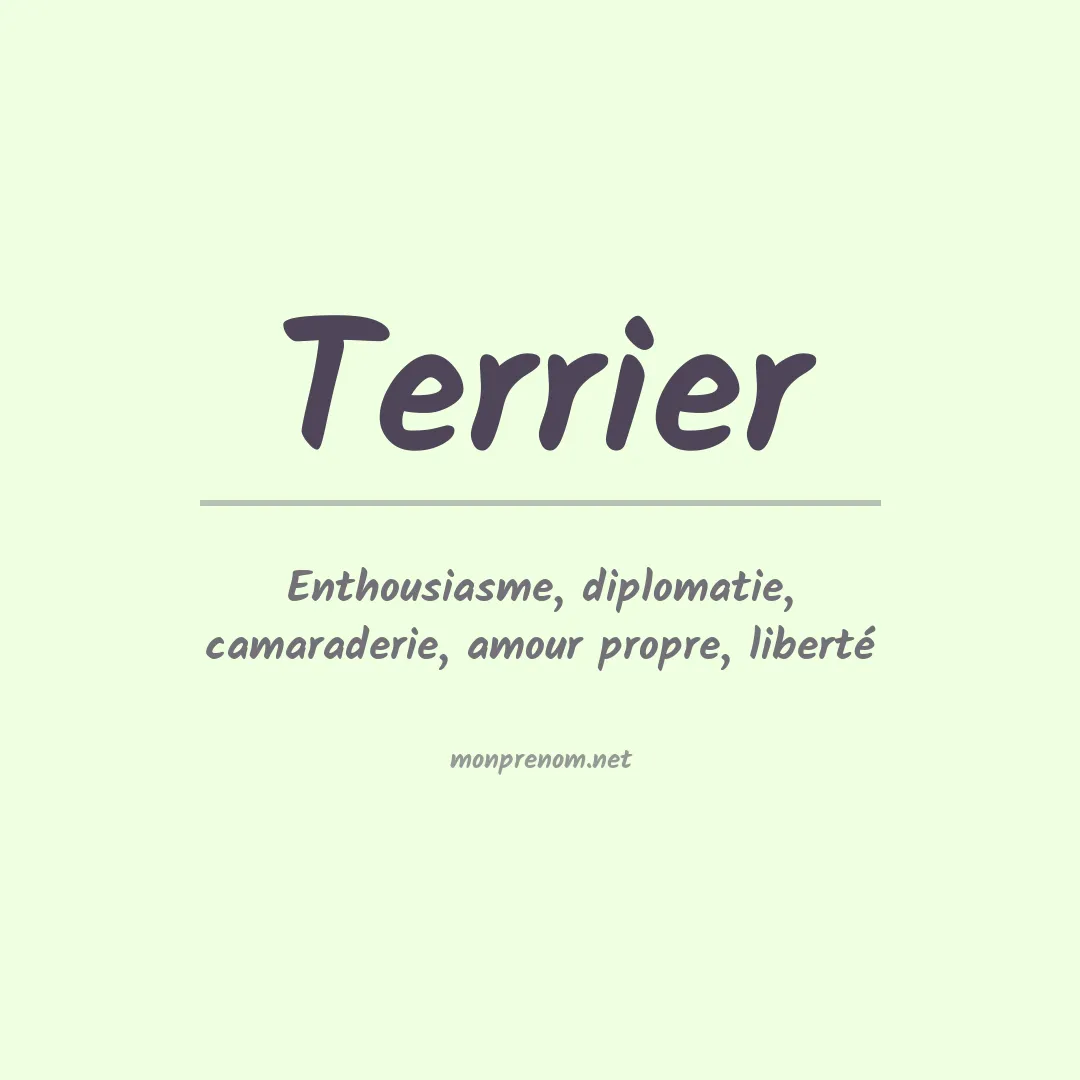 Signification du prénom Terrier
