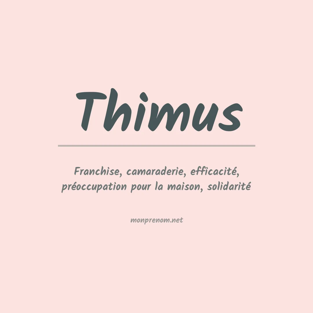 Signification du prénom Thimus