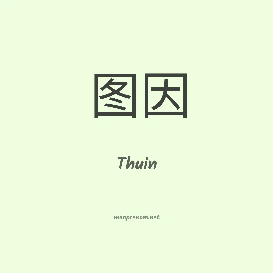 Thuin en chinois