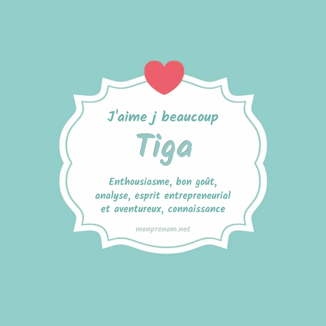 J'aime beaucoup Tiga