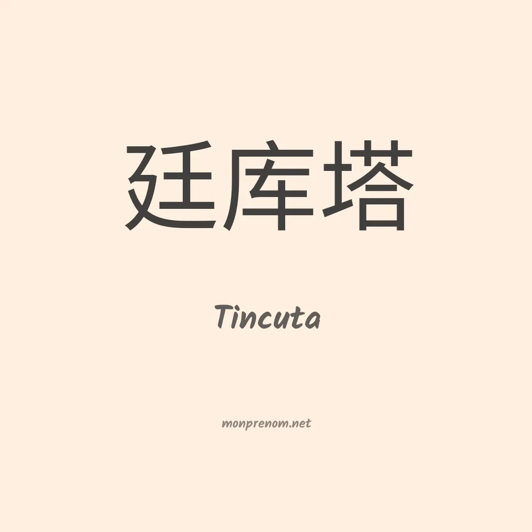 Tincuta en chinois