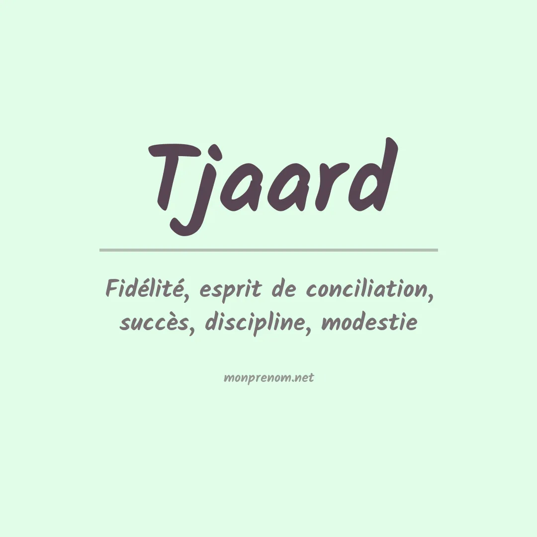 Signification du prénom Tjaard