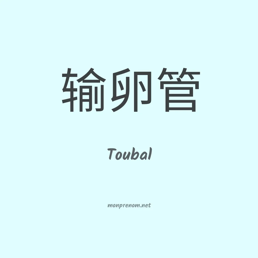 Toubal en chinois