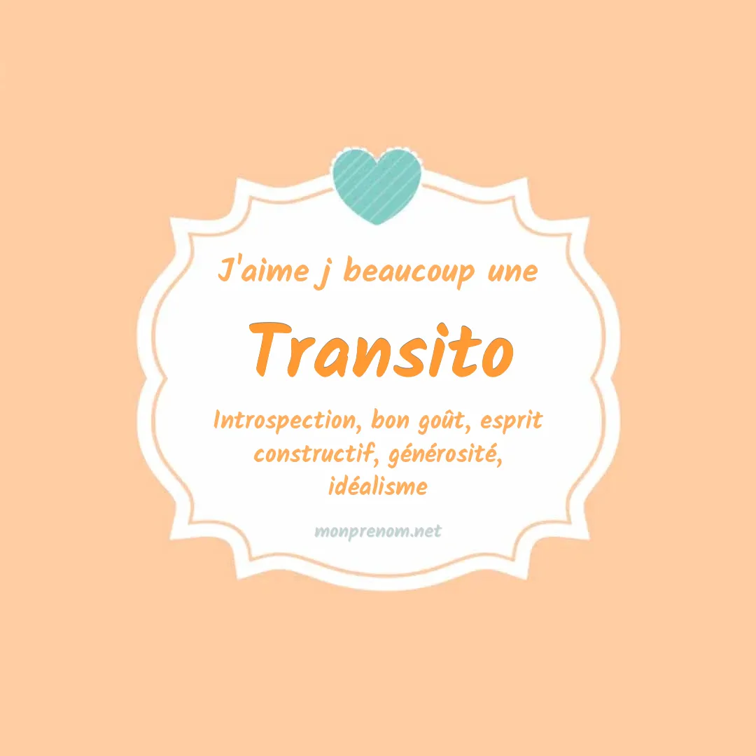 J'aime beaucoup Transito