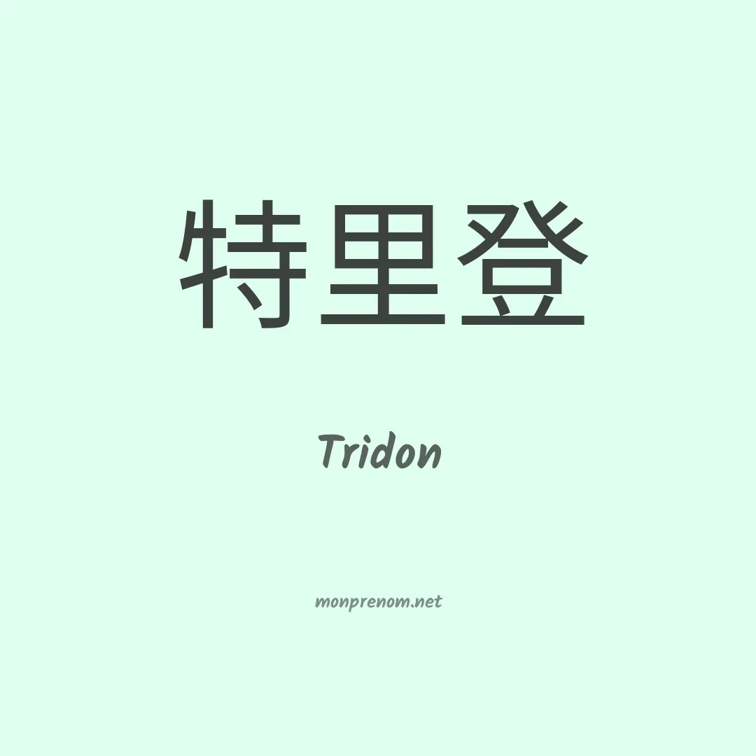 Tridon en chinois