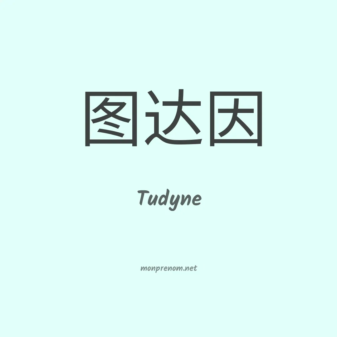 Tudyne en chinois