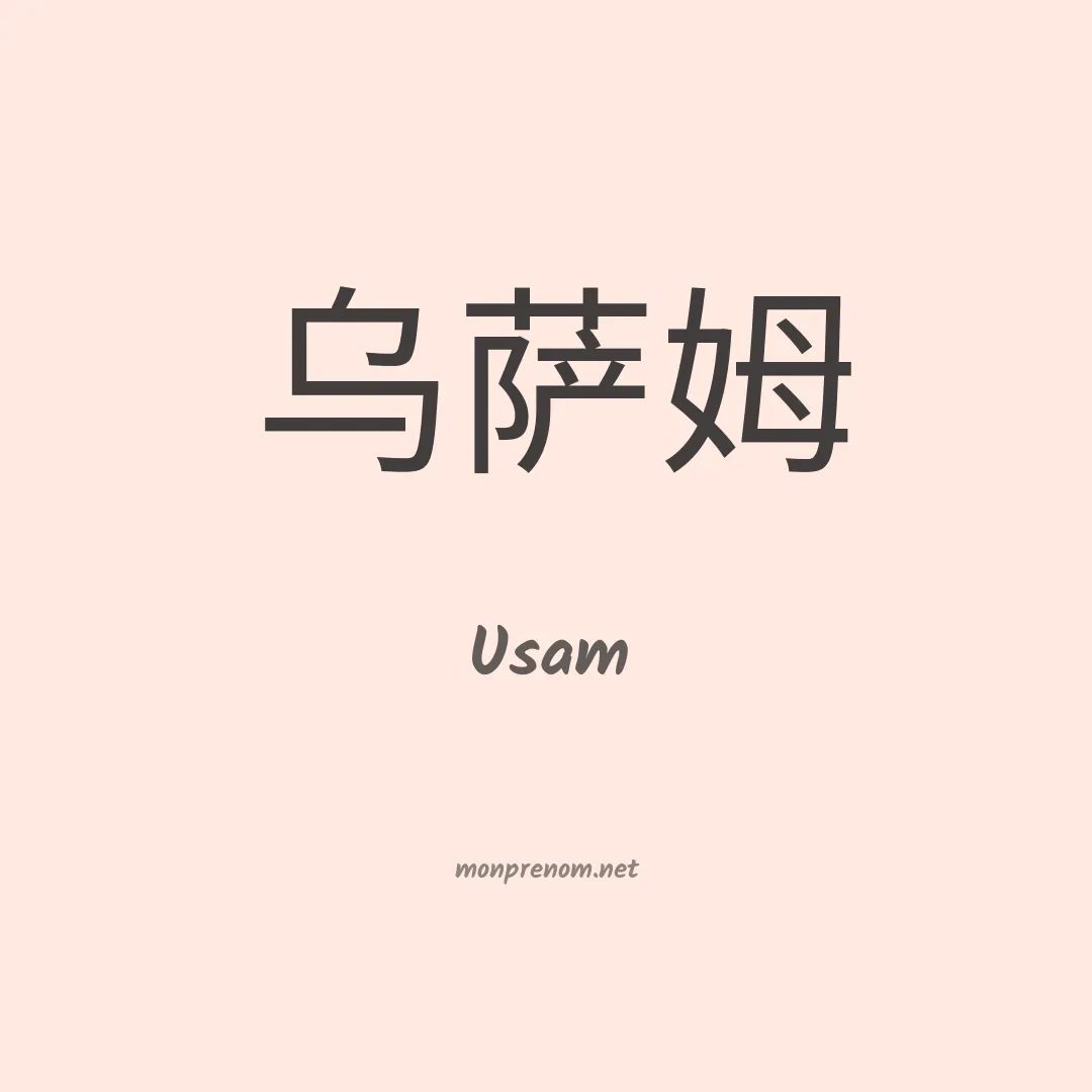 Usam en chinois