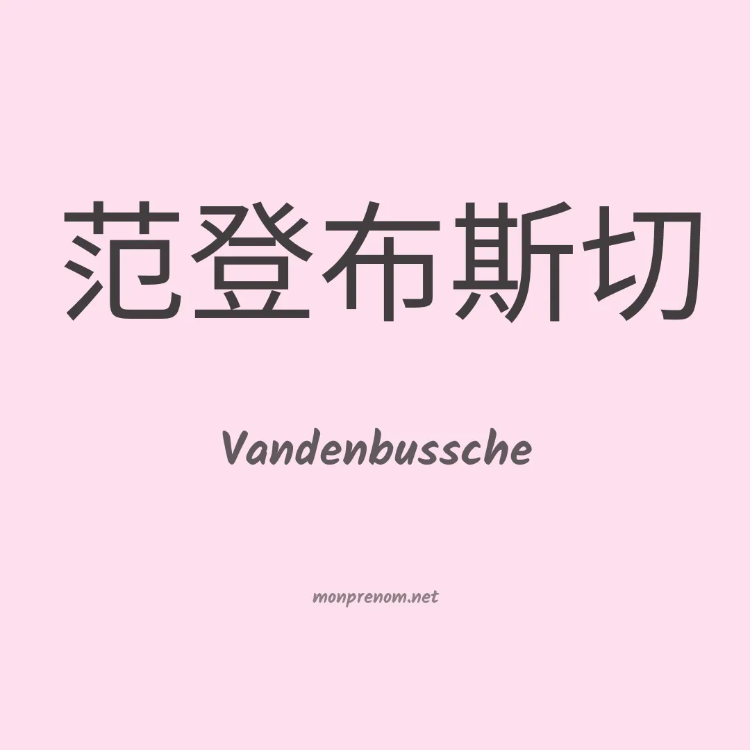 Vandenbussche en chinois