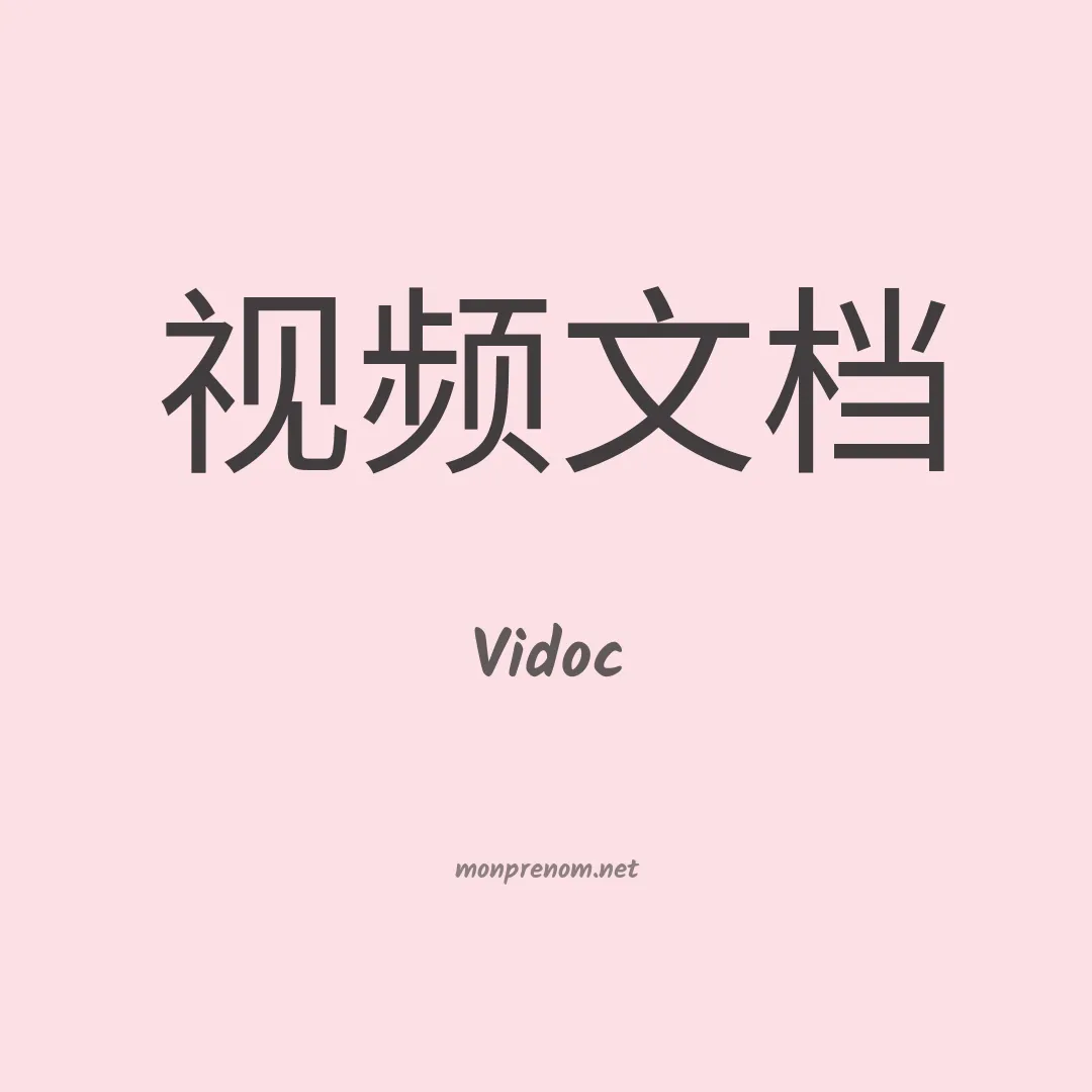 Vidoc en chinois