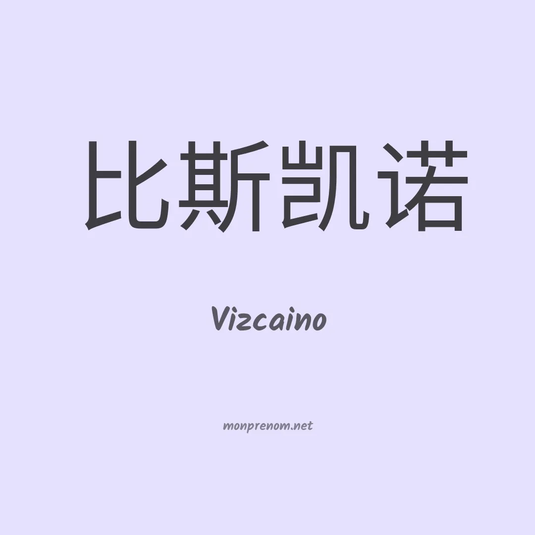 Vizcaino en chinois