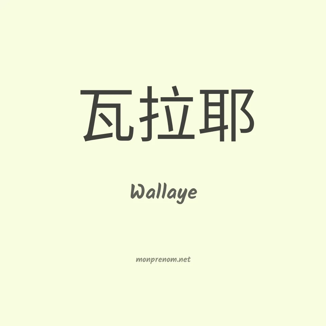 Wallaye en chinois