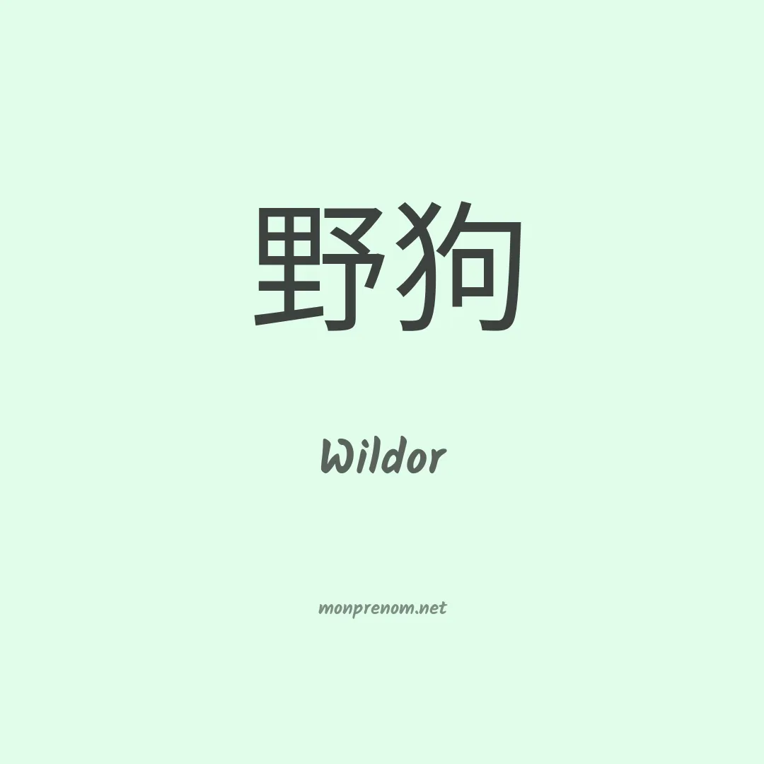 Wildor en chinois