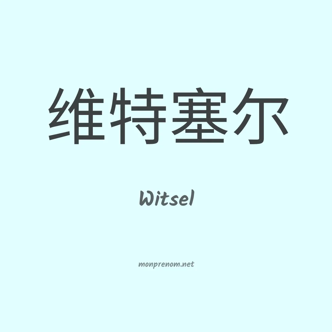 Witsel en chinois