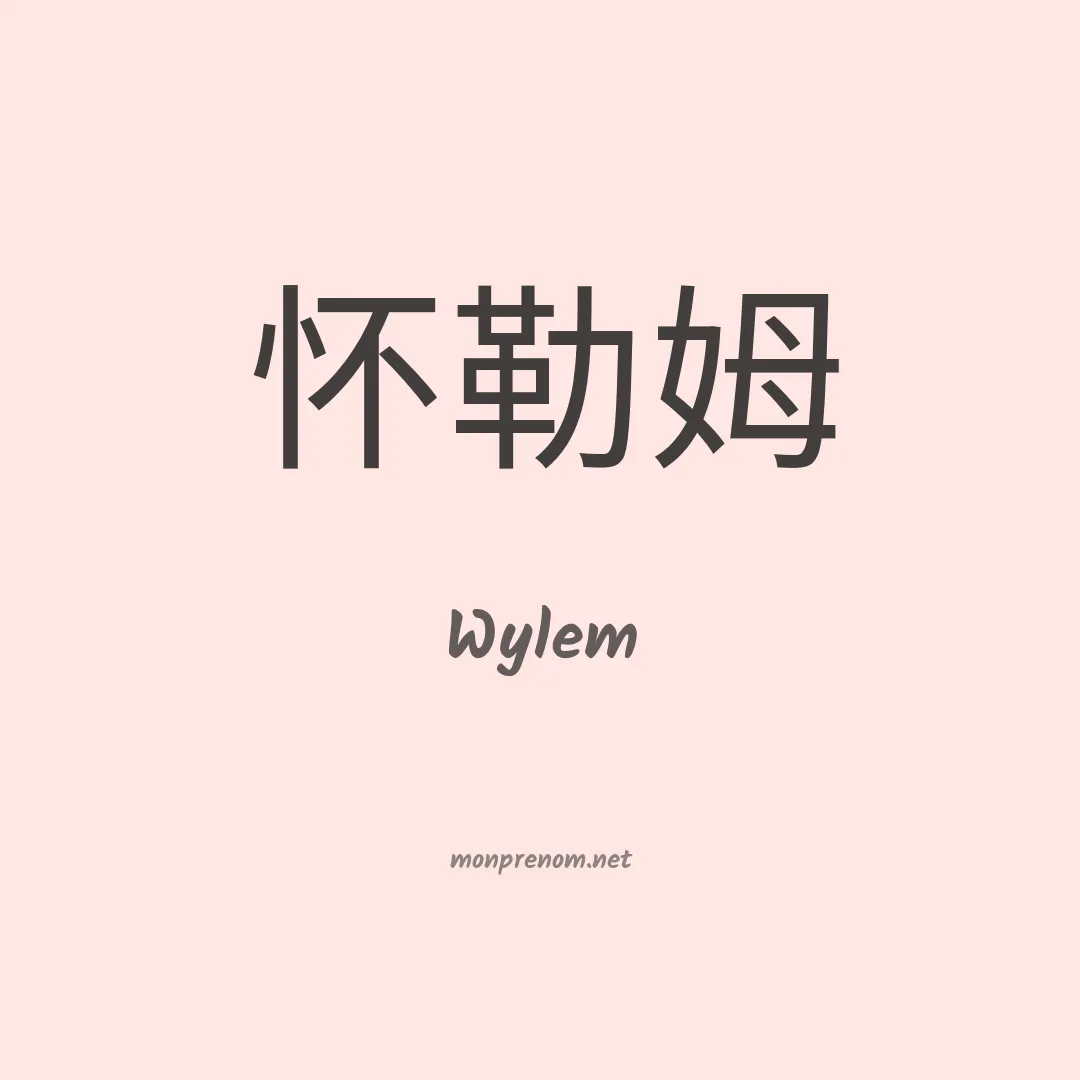 Wylem en chinois