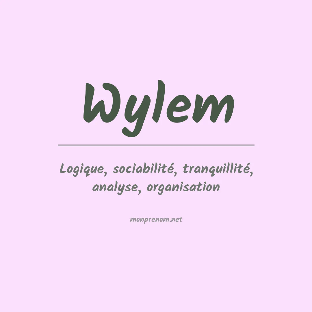 Signification du prénom Wylem