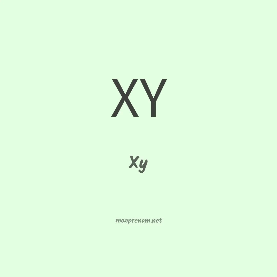 Xy en chinois