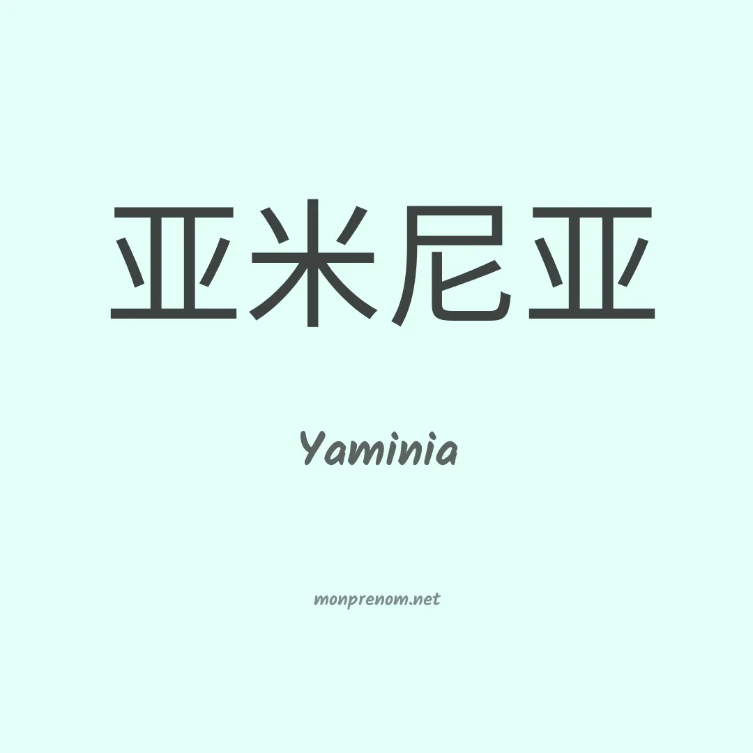 Yaminia en chinois