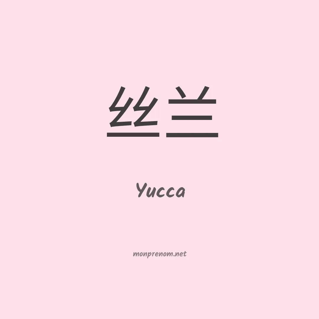 Yucca en chinois