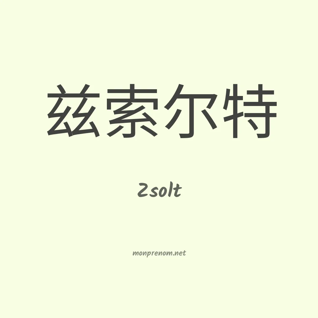 Zsolt en chinois